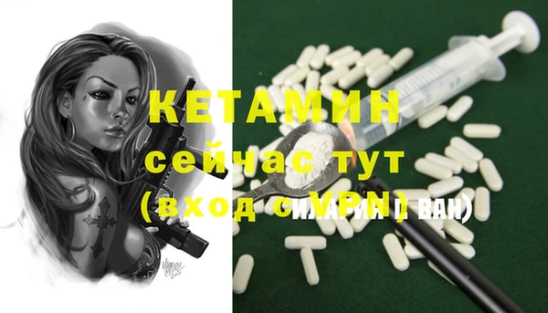 сатива Вяземский