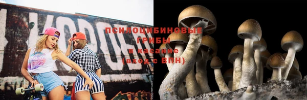 сатива Вяземский