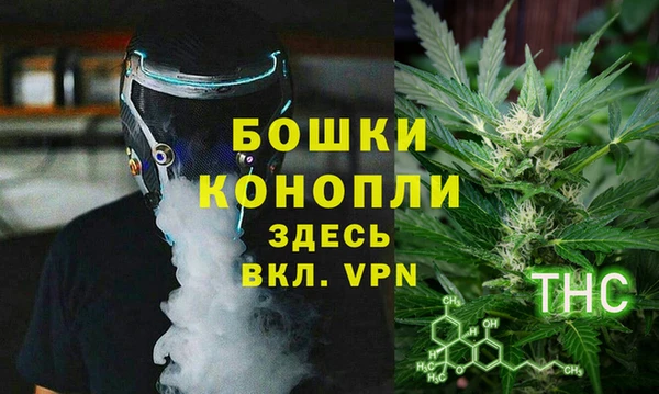 сатива Вяземский