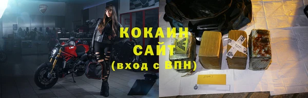 сатива Вяземский