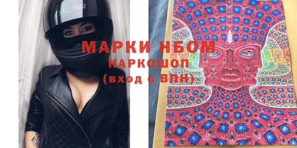 сатива Вяземский
