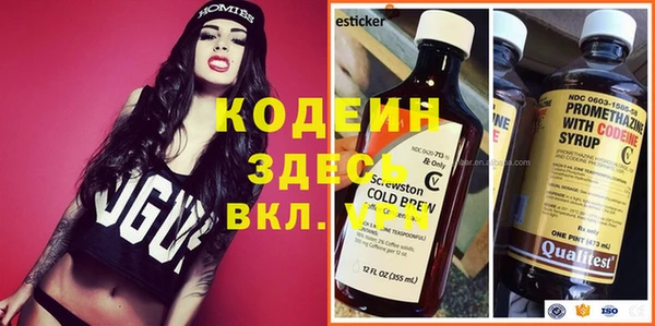 сатива Вяземский