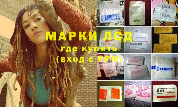 сатива Вяземский