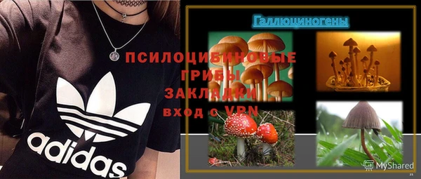 сатива Вяземский