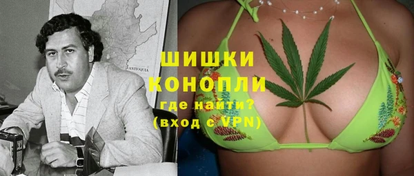 сатива Вяземский
